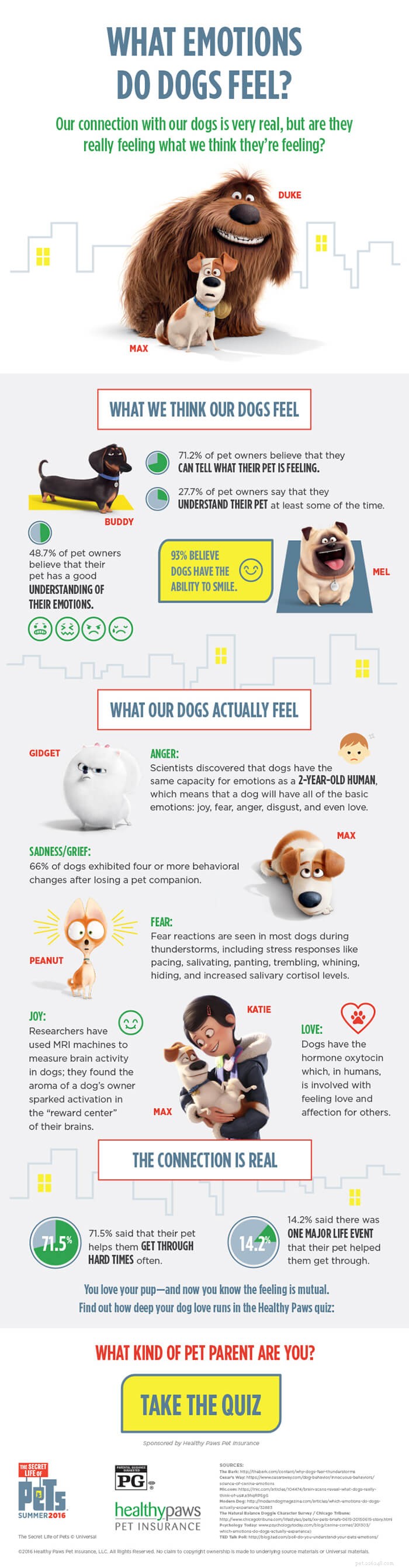Какие эмоции испытывают собаки? [Инфографика]