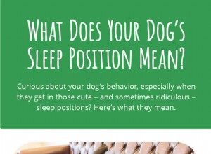 강아지의 수면 자세는 무엇을 의미합니까?