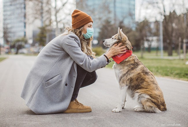 Come i comportamenti dei cani sono influenzati dal COVID-19