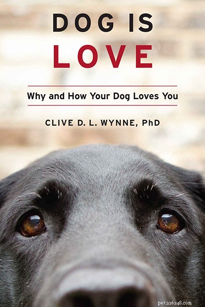 Recenze knihy – ‚Pes je láska:Proč a jak vás váš pes miluje‘