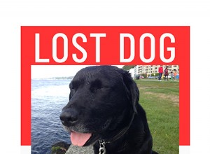 전문가가 설명하는 길 잃은 개를 찾는 방법에 대한 팁