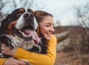 Os cães podem sorrir?