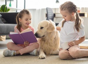 Introductie van huisdieren en kinderen:tips van een trainer