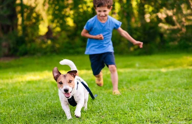 Vi presenterar husdjur och barn:Tips från en tränare