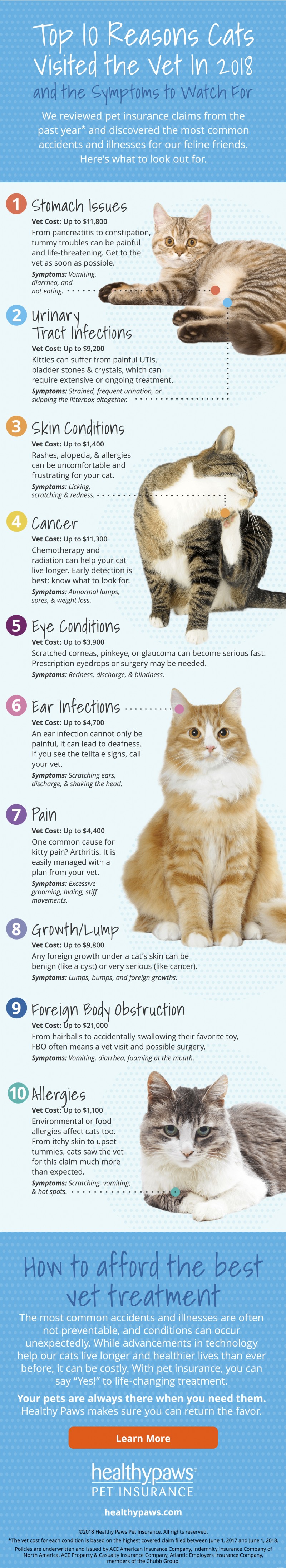 10 principais razões pelas quais os gatos visitam o veterinário [Infográfico]