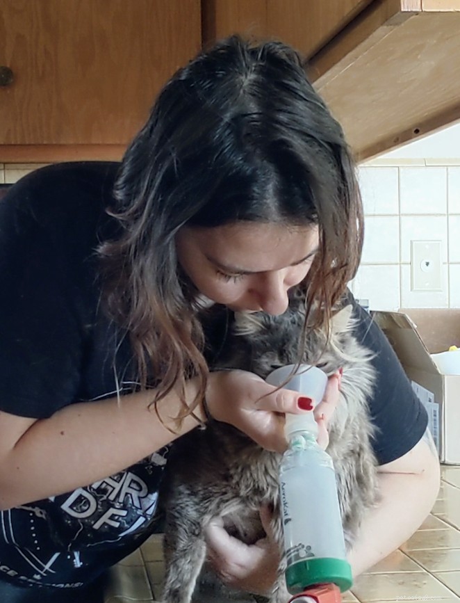 Astma u koček:Otisův příběh