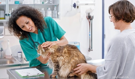 Behöver min katt en rabiesvaccination?