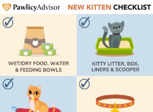 新しい子猫のチェックリスト:2022 年に子猫のために購入するもの