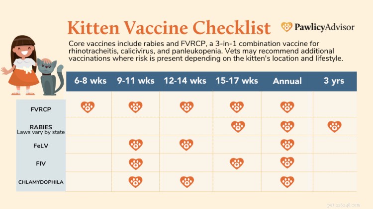 Calendrier de vaccination des chatons pour les vaccins de première année [Tableau]