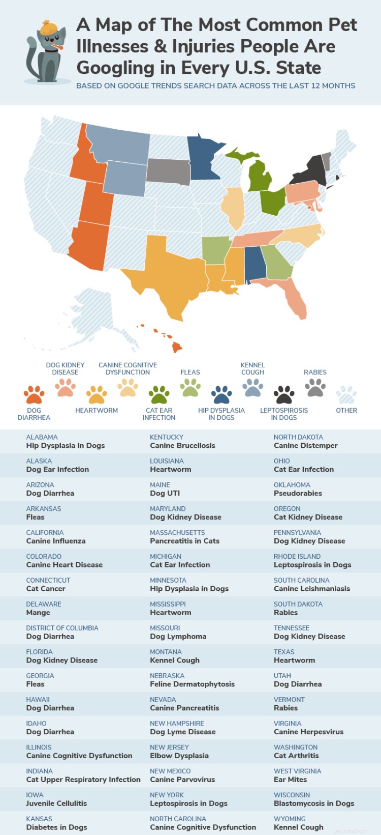 Google 검색 트렌드를 기반으로 한 미국의 모든 주에서 가장 자주 검색되는 애완동물 질병 및 부상