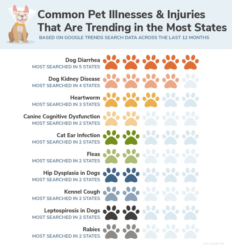 Google 検索トレンドに基づく、米国の各州で最も頻繁に検索されたペットの病気と怪我