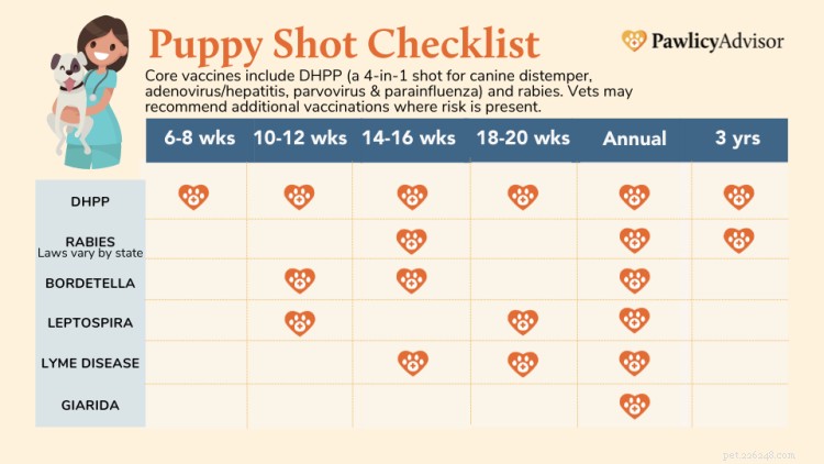첫 해 접종을 위한 강아지 백신 일정 [PDF 차트]