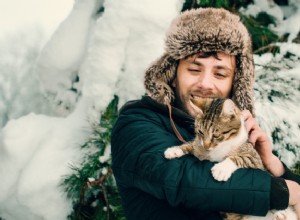 Обморожение у кошек:симптомы, лечение и профилактика