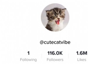 7 veselých Cat TikTok účtů, které vás rozesmějí