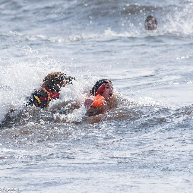 行為に巻き込まれた英雄的な犬の感動的な写真 10 枚