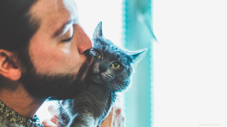 Veelvoorkomende gezondheidsproblemen bij katten per ras, leeftijd en omgeving