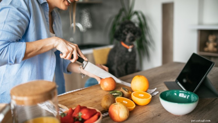 Lijst van voer dat honden wel (en niet) kunnen eten, volgens dierenarts