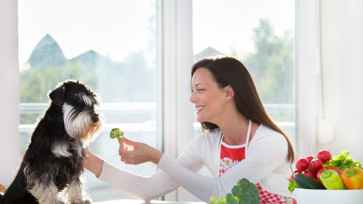 Могут ли собаки есть брокколи? Вот все, что вам нужно знать