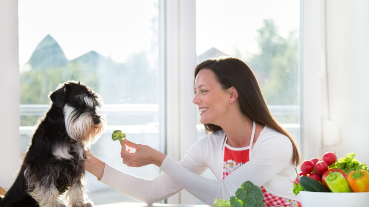 Kan hundar äta broccoli? Här är allt du behöver veta