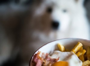 Kunnen honden aardappelen eten? Hier is alles wat u moet weten