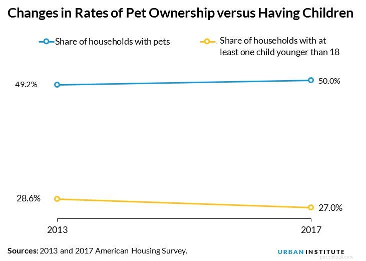 Statistiche sulla proprietà degli animali domestici per stato e molto altro (aggiornato nel 2020)