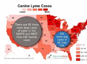 Ziekte van Lyme bij honden:symptomen, behandeling en kosten besparen