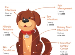 39 tips voor hondenverzorging:de ultieme gids voor ouders
