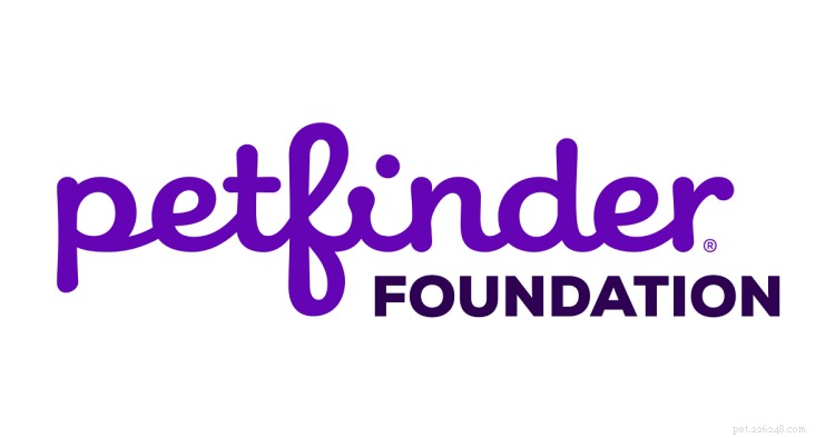 Petfinder:все, что вам нужно знать