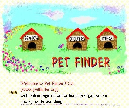 Petfinder:알아야 할 모든 것