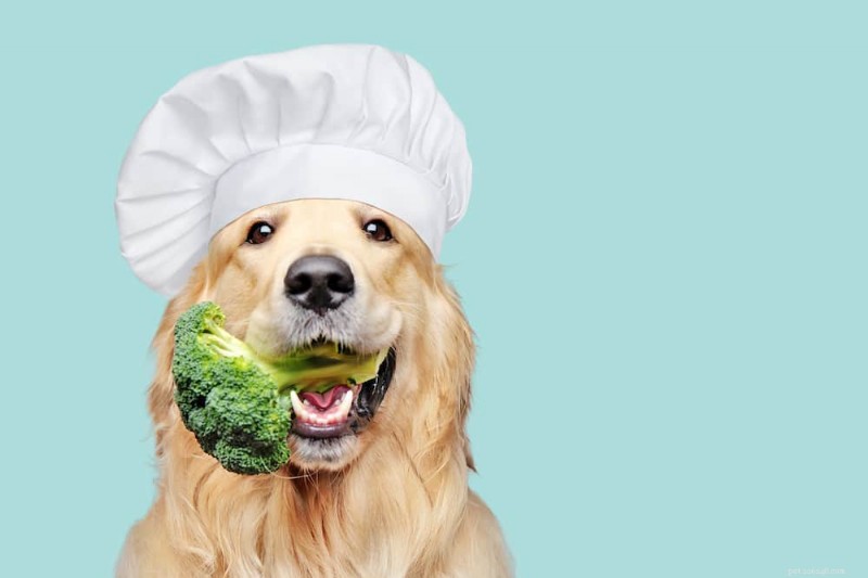 Whole Food Dieet voor honden? 12 voedingsmiddelen om op te nemen