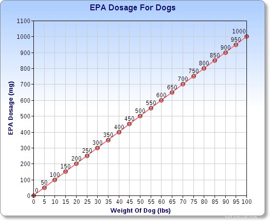 Omega 3 för hundar – hur mycket fiskolja ska man ge till hundar