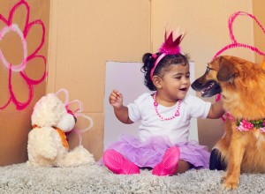 Toddler Gives Mini Australian Shepherd a Princess Makeover