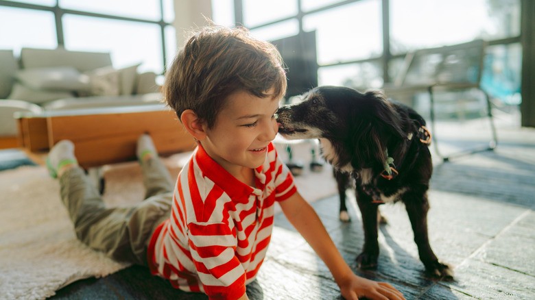 Morgonmys:Golden Retrievers behandlade som barn av sin mamma 