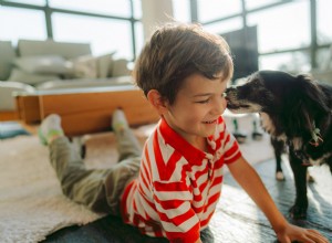 Morning Cuddles: Golden Retrievers Treated Like Kids by Their Mom