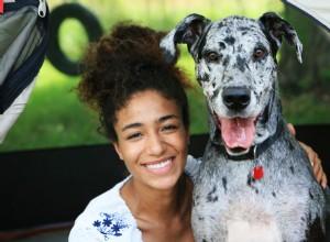 15 Stunning Dog Breeds with Unusual Coats You’ll Love