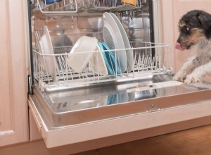 Can Your Dog Help With the Dishes? A Certified Trainer Shares Proven Techniques
