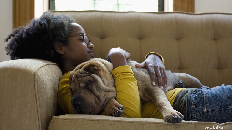 Animais de estimação e sono:a ciência mostra como os animais melhoram nosso descanso 