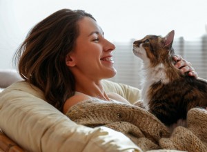 16 Cat Owner Dilemmas You’ll Never Want to Hear About