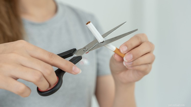 Hoe een gewone gewoonte uw huisdieren schaadt:wat u moet weten 