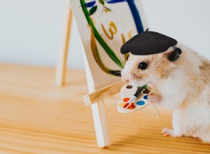 Hilarious Animal Photos Guaranteed to Make You Laugh