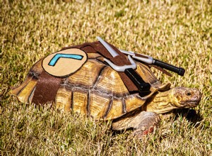 Turtles & Tortoises in Costumes: A Trending Phenomenon