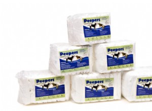 Dog Diapers: A Reliable Solution for Accidents & Incontinence