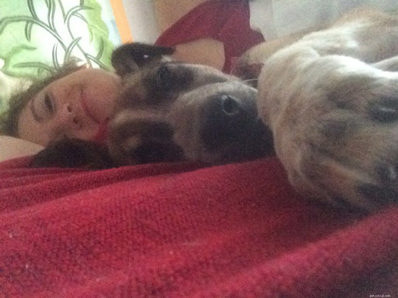 Från Mexiko till New Hampshire:Rescue Puppy Finds Loving Family 