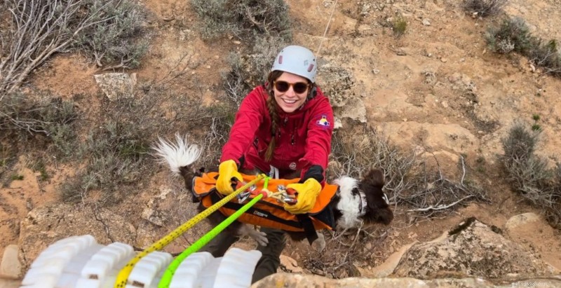 Mirakulös överlevnad:Hunden faller 100+ fot in i Canyon vid Colorado National Monument 