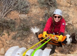 Miraculous Survival: Dog Falls 100+ Feet into Canyon at Colorado National Monument