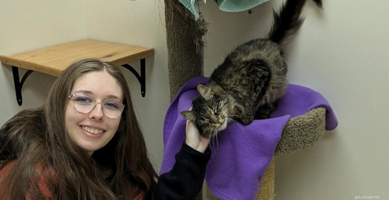 Cat återvänder hem till Texas efter 2 000 mils resa 