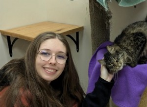 Cat Returns Home to Texas After 2,000-Mile Journey