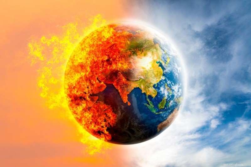 Cientistas alertam:o impacto das alterações climáticas na migração das aves ameaça o bem-estar humano 