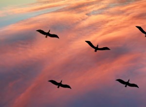 Scientists Warn: Climate Change’s Impact on Bird Migration Threatens Human Well‑Being