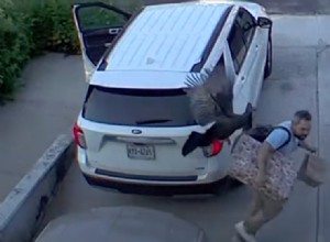 Wild Turkey Attacks Man Near New York Home in Unexpected Incident